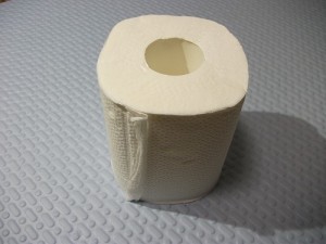 Mobile toilet paper1